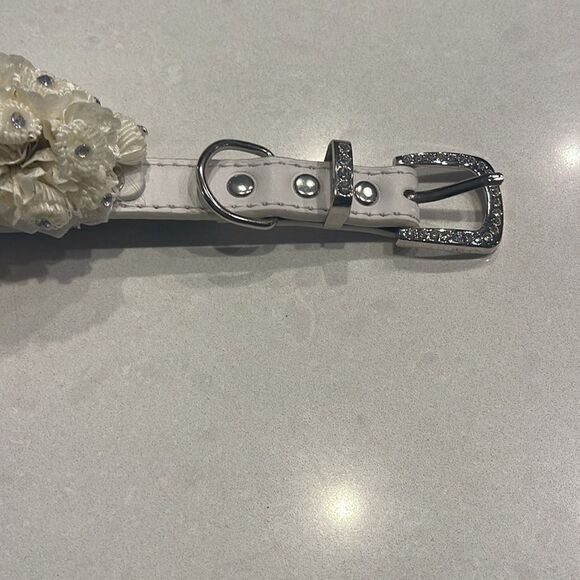 Dog collar for wedding special occasions. - Picture 3 of 6